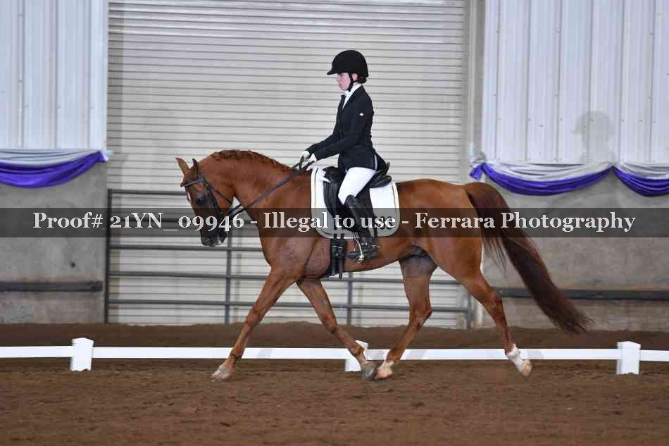 Proof 21YN_09946