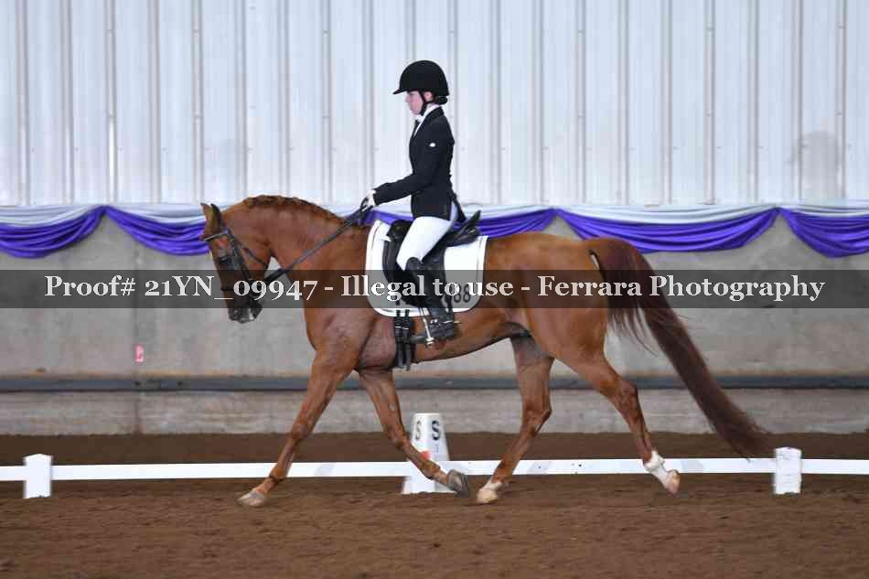 Proof 21YN_09947