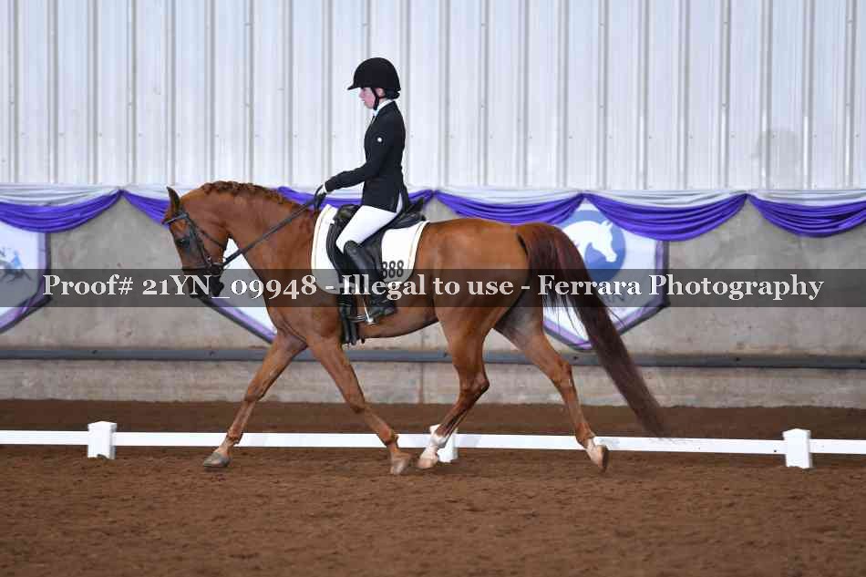 Proof 21YN_09948