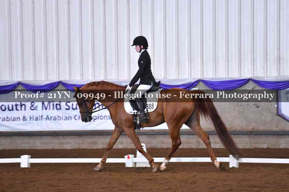 Proof 21YN_09949