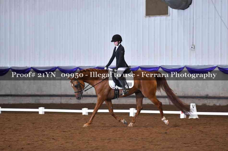 Proof 21YN_09950