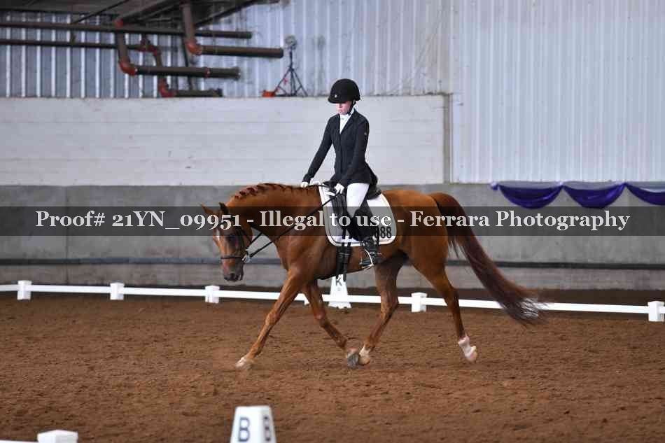 Proof 21YN_09951