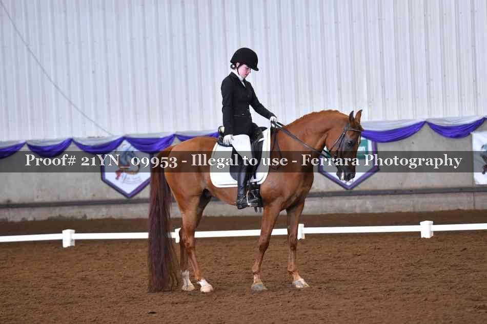 Proof 21YN_09953