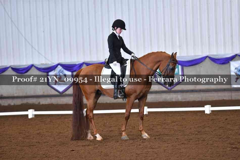 Proof 21YN_09954