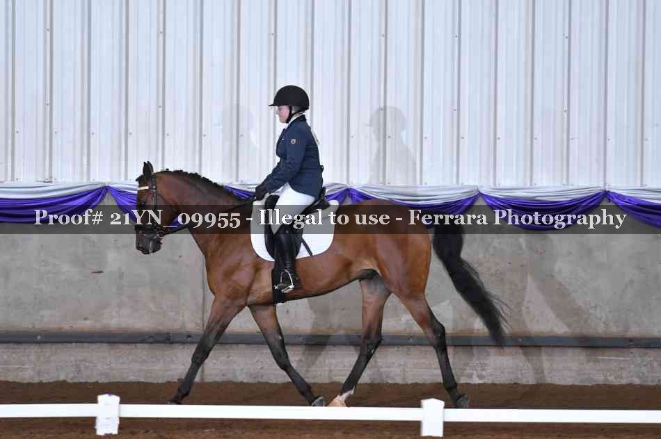 Proof 21YN_09955
