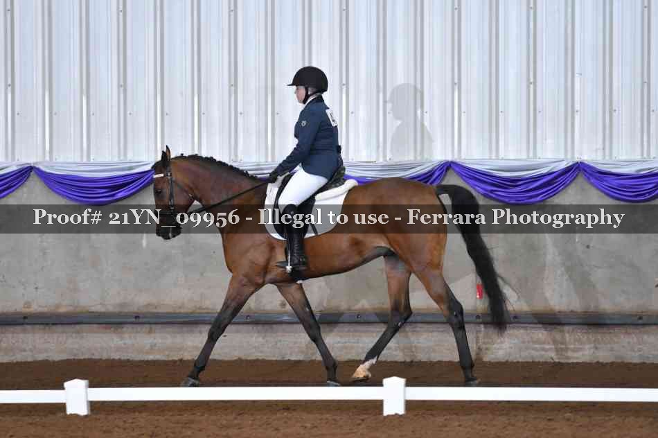 Proof 21YN_09956