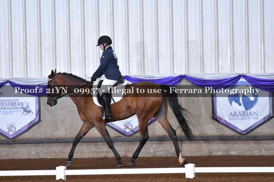 Proof 21YN_09957