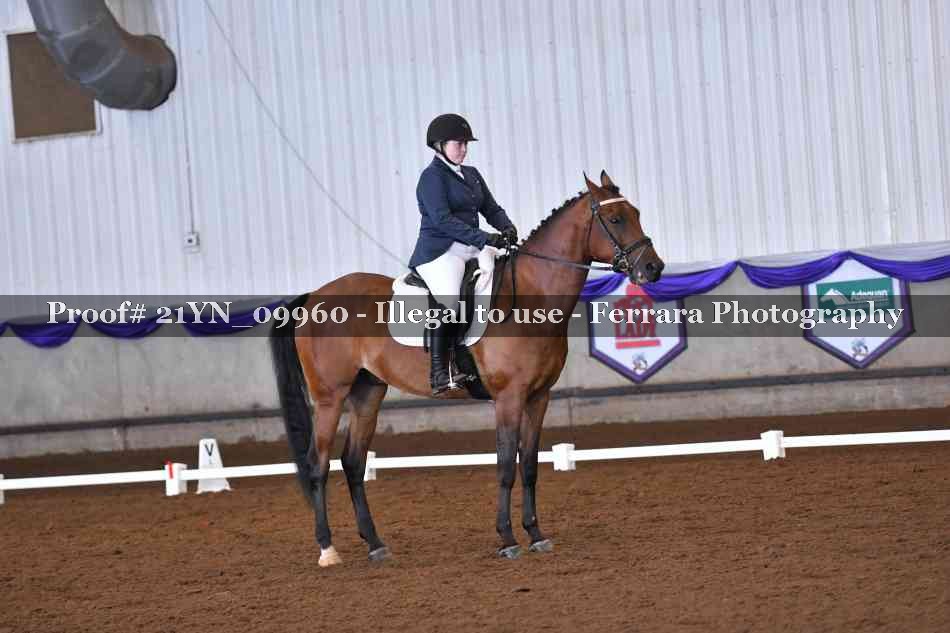 Proof 21YN_09960