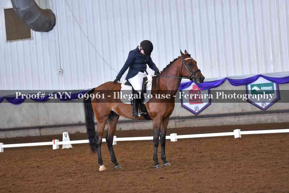 Proof 21YN_09961