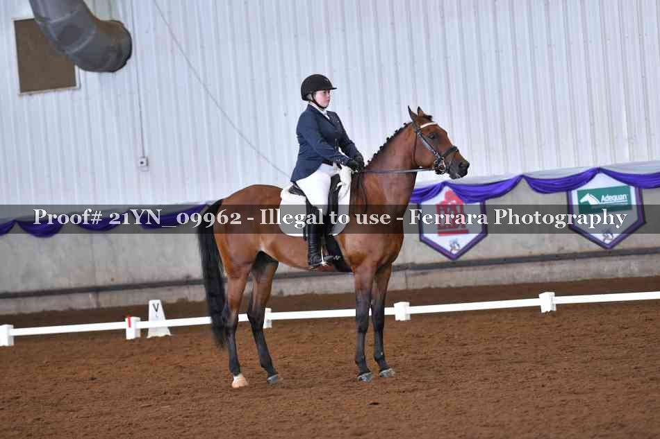 Proof 21YN_09962