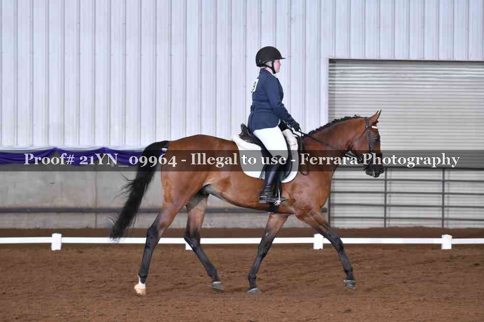 Proof 21YN_09964