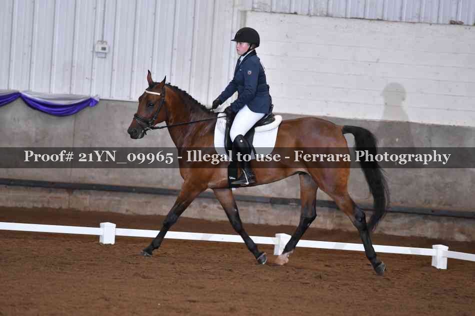 Proof 21YN_09965