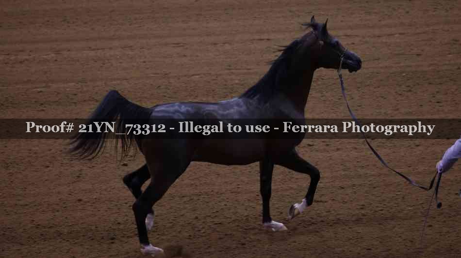 Proof 21YN_73312