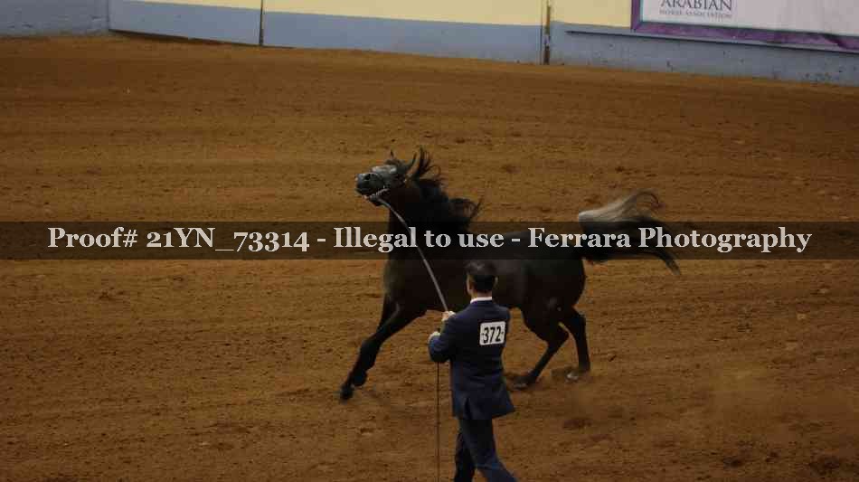 Proof 21YN_73314