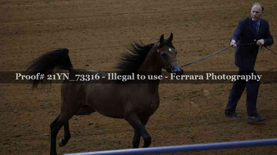 Proof 21YN_73316