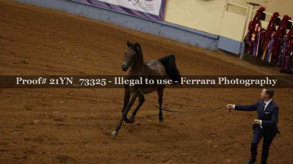 Proof 21YN_73325