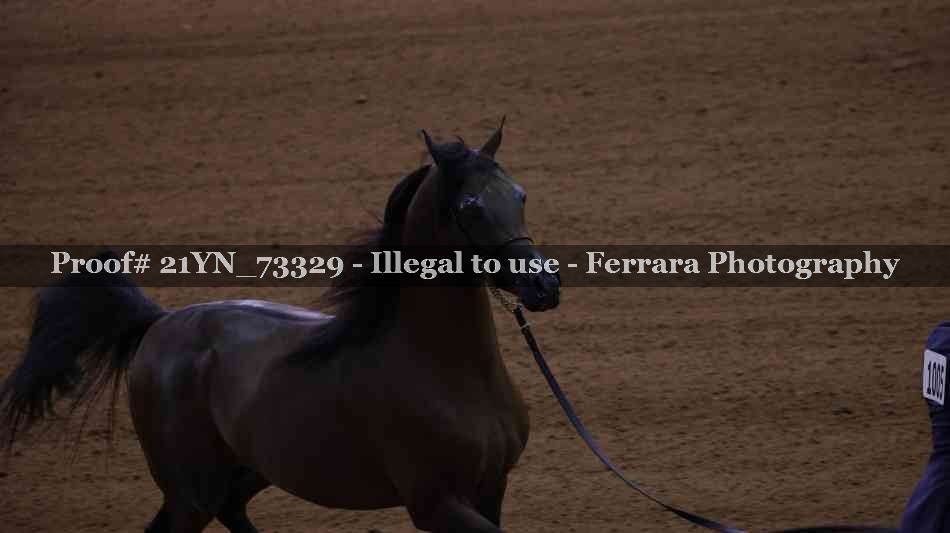 Proof 21YN_73329