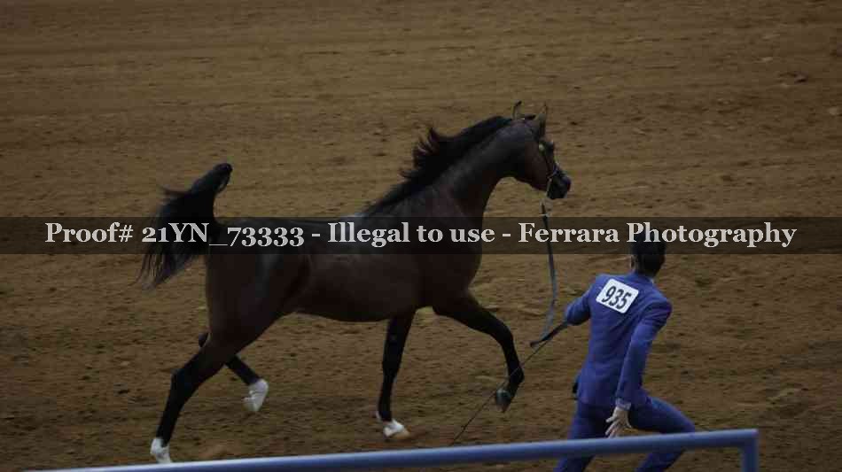 Proof 21YN_73333