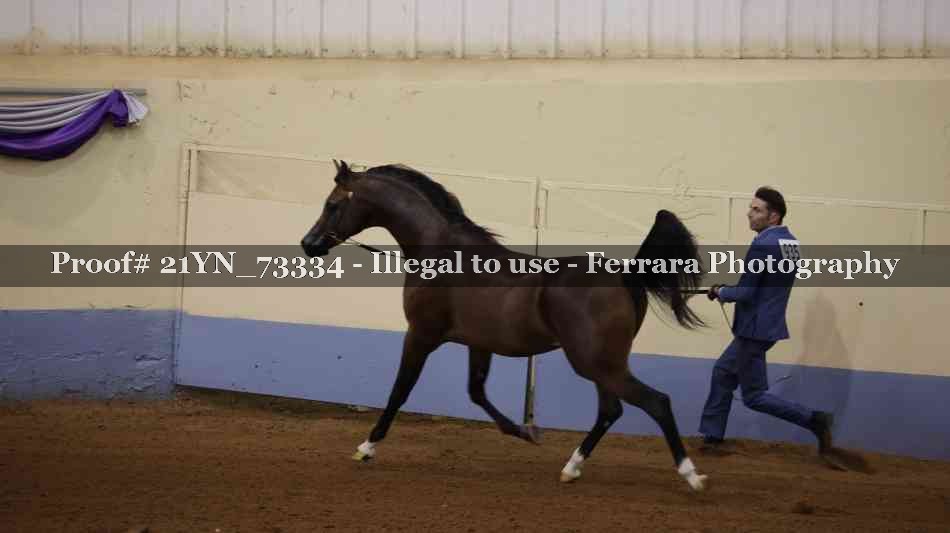 Proof 21YN_73334