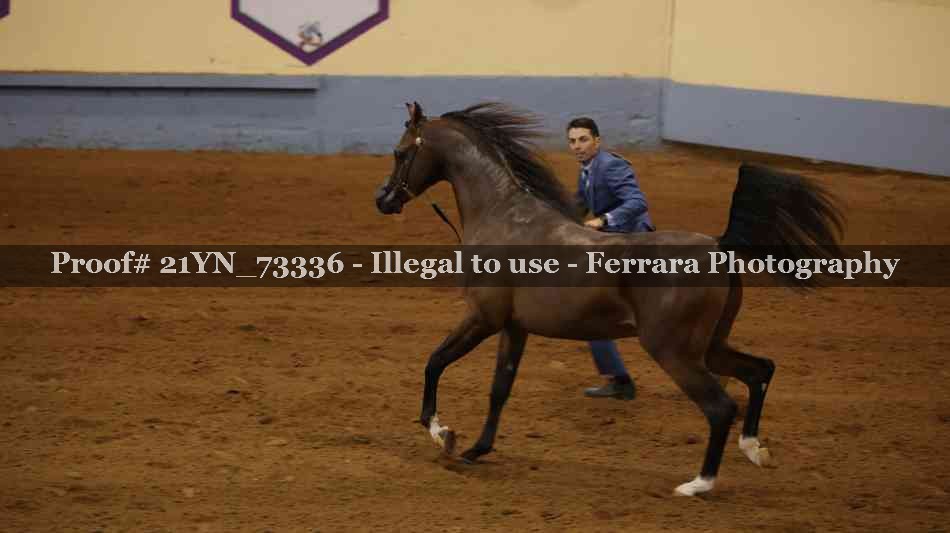 Proof 21YN_73336