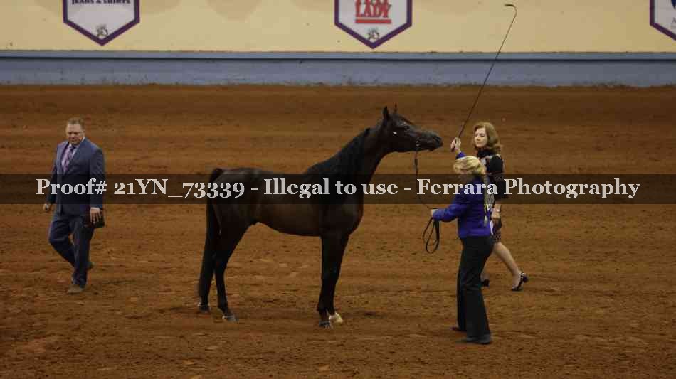 Proof 21YN_73339