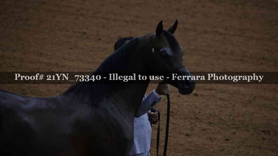 Proof 21YN_73340