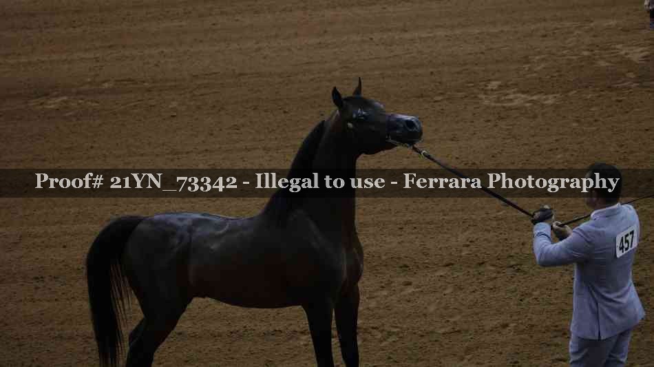 Proof 21YN_73342