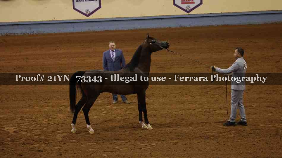 Proof 21YN_73343