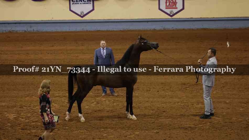 Proof 21YN_73344