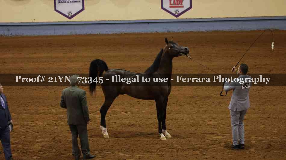 Proof 21YN_73345