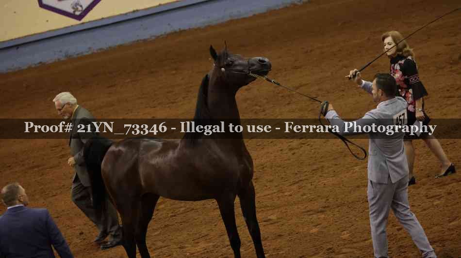 Proof 21YN_73346