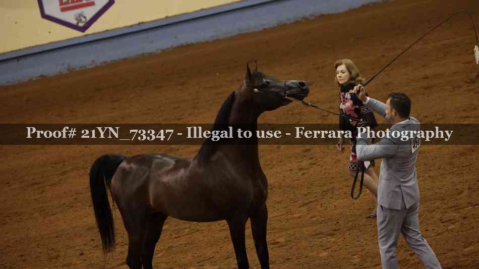Proof 21YN_73347