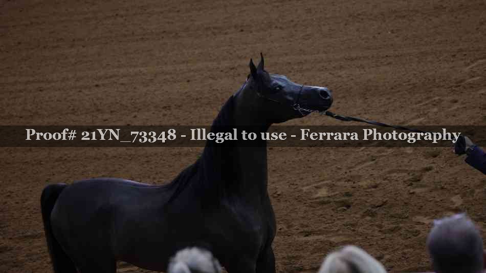 Proof 21YN_73348