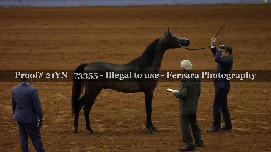 Proof 21YN_73355