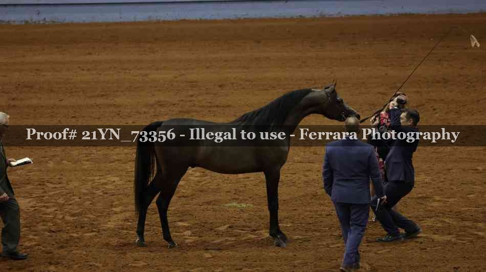 Proof 21YN_73356