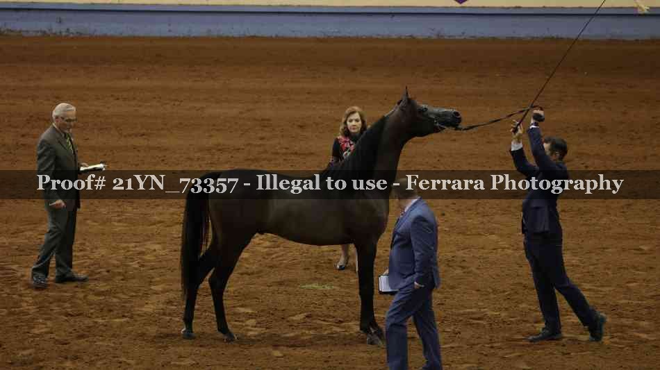 Proof 21YN_73357