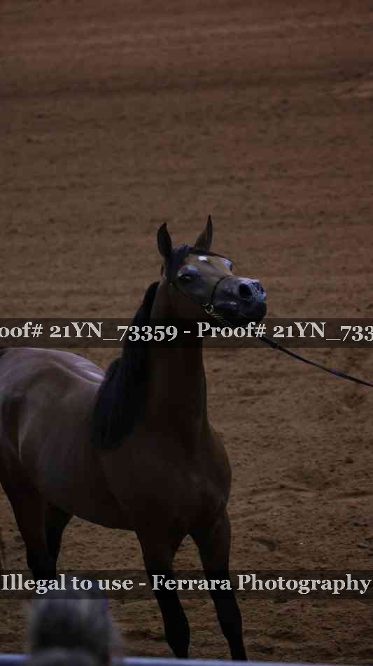 Proof 21YN_73359