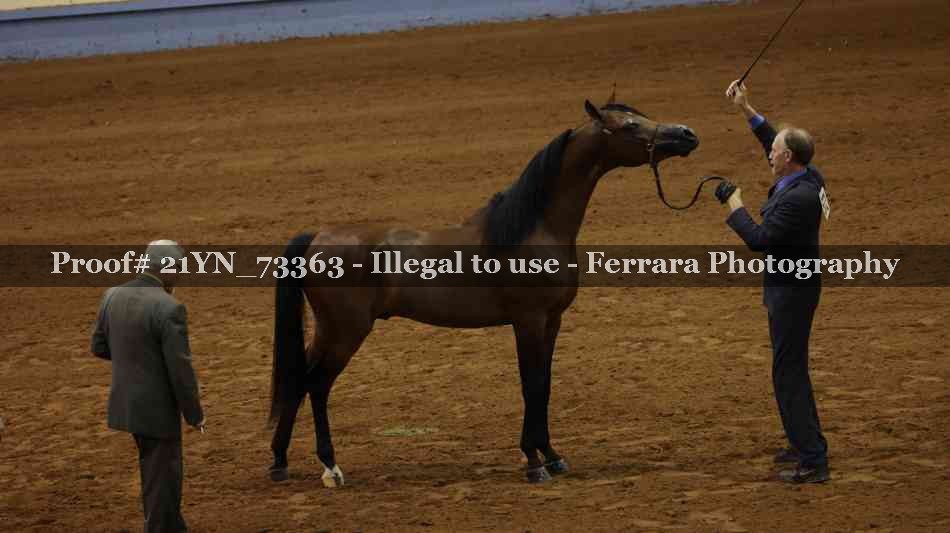 Proof 21YN_73363