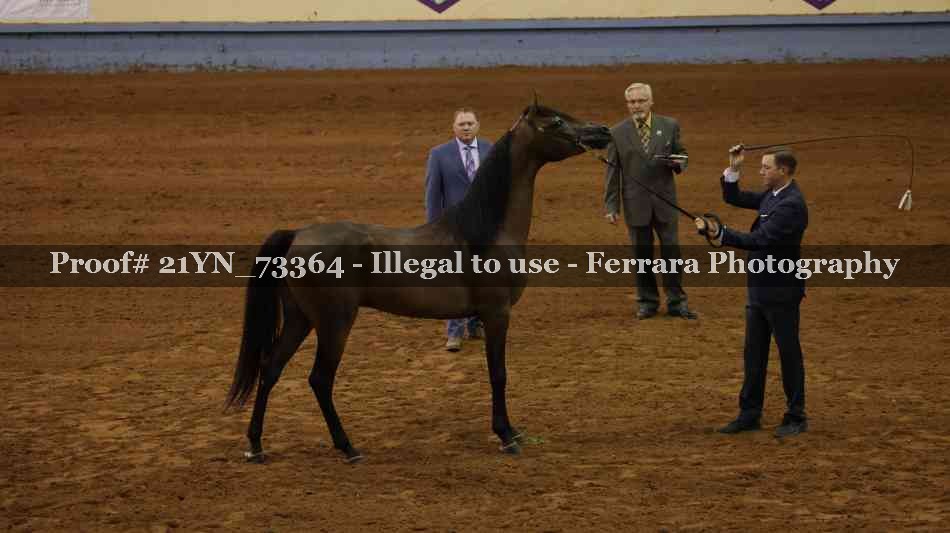 Proof 21YN_73364