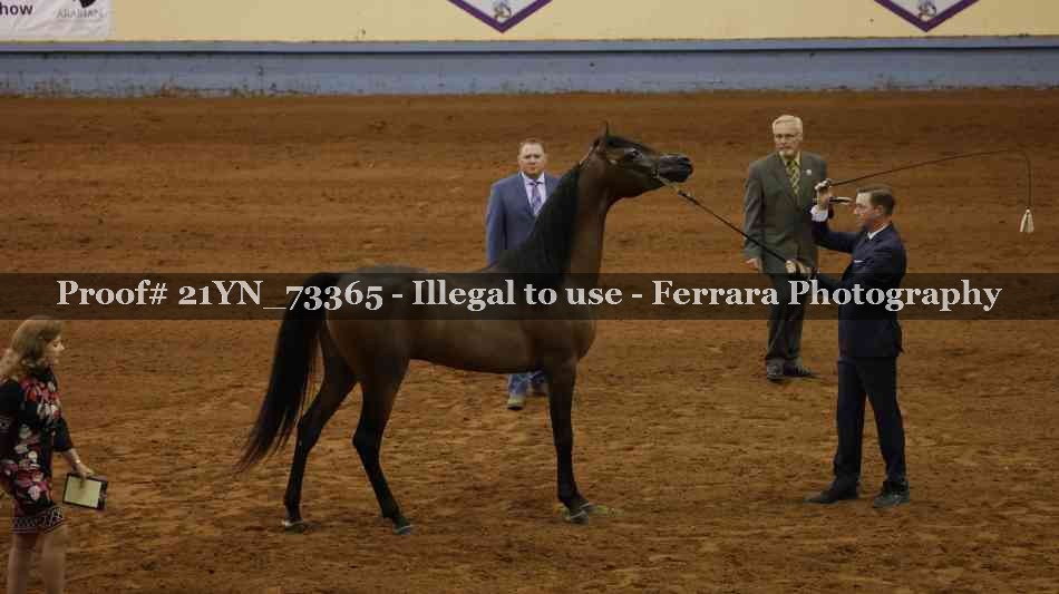 Proof 21YN_73365