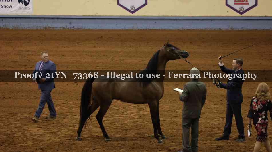 Proof 21YN_73368