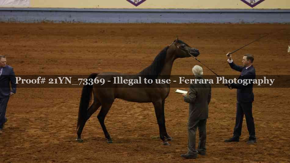 Proof 21YN_73369