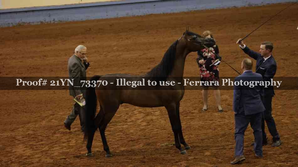 Proof 21YN_73370