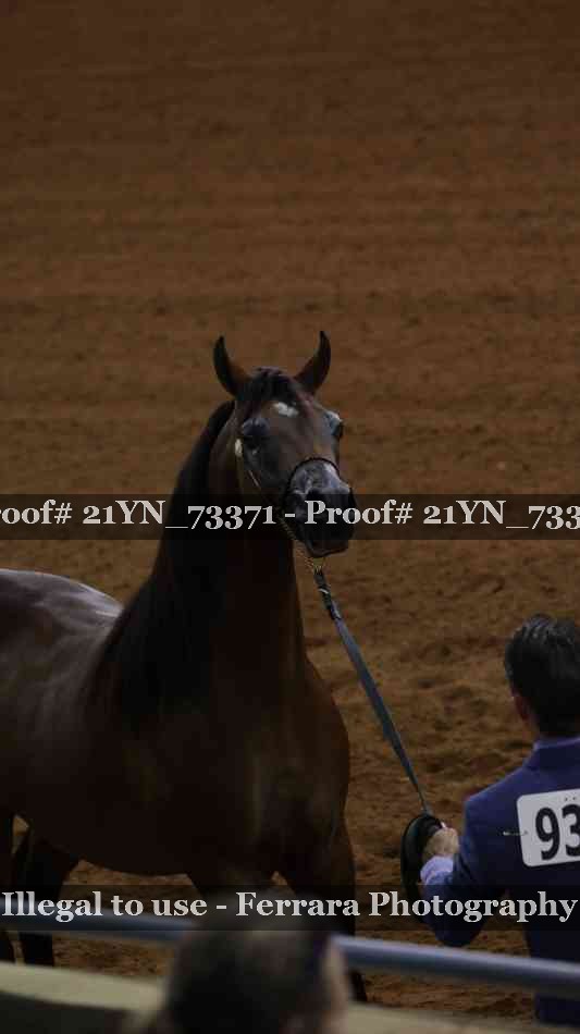 Proof 21YN_73371