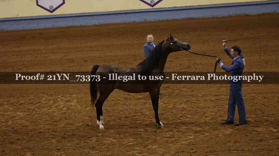 Proof 21YN_73373