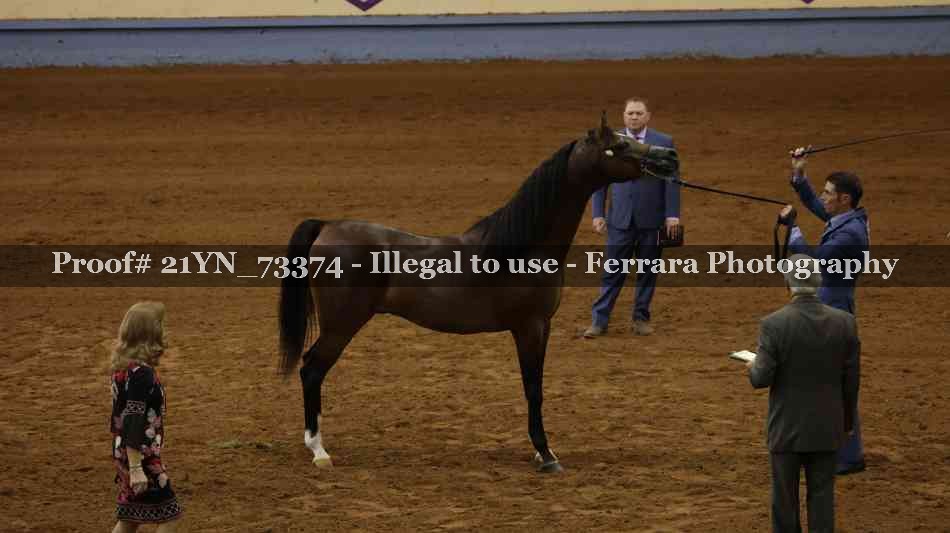 Proof 21YN_73374