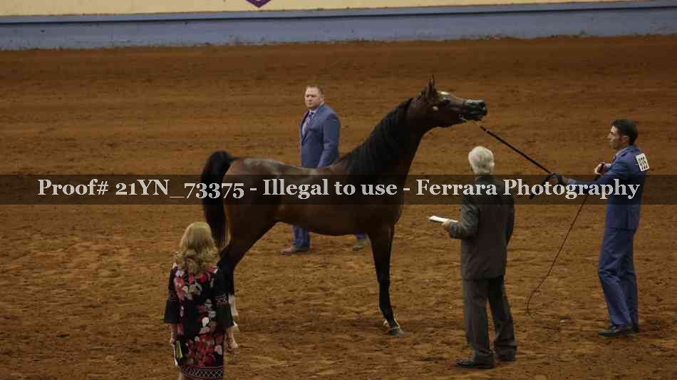 Proof 21YN_73375