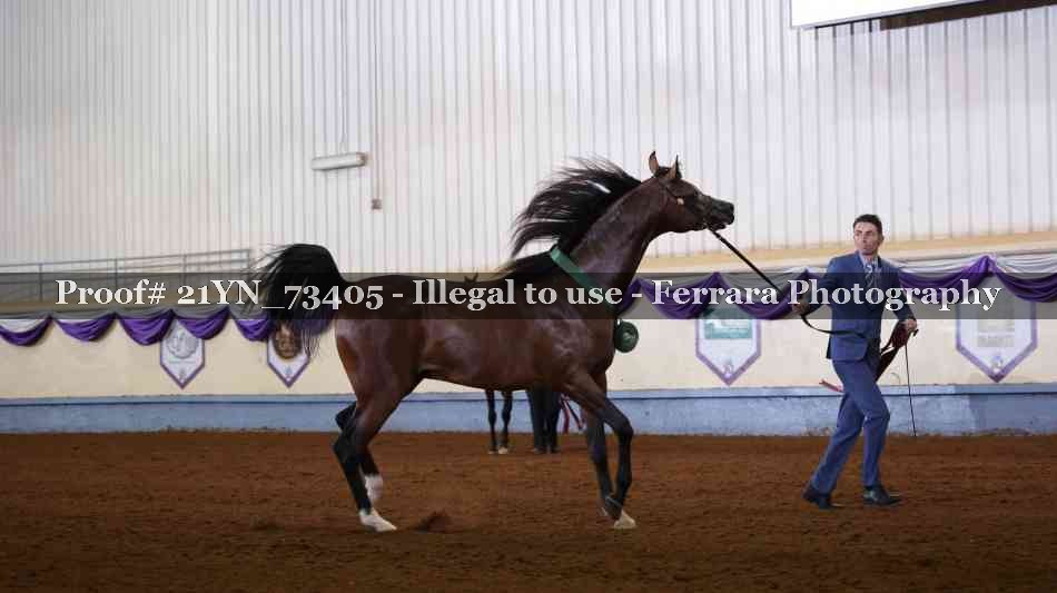 Proof 21YN_73405