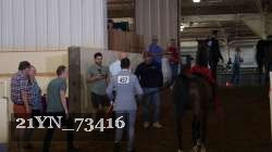 21YN_73416 proof