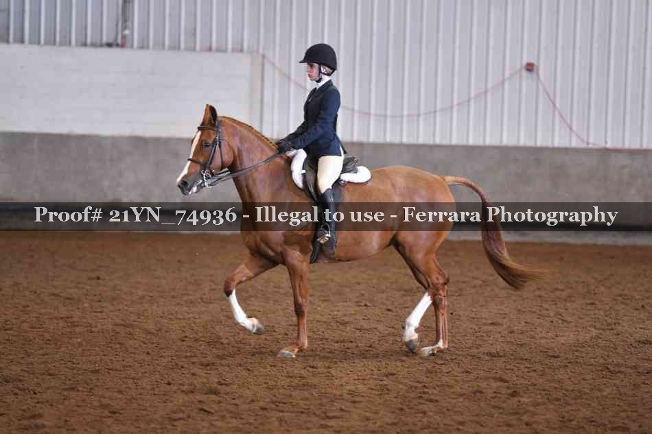 Proof 21YN_74936